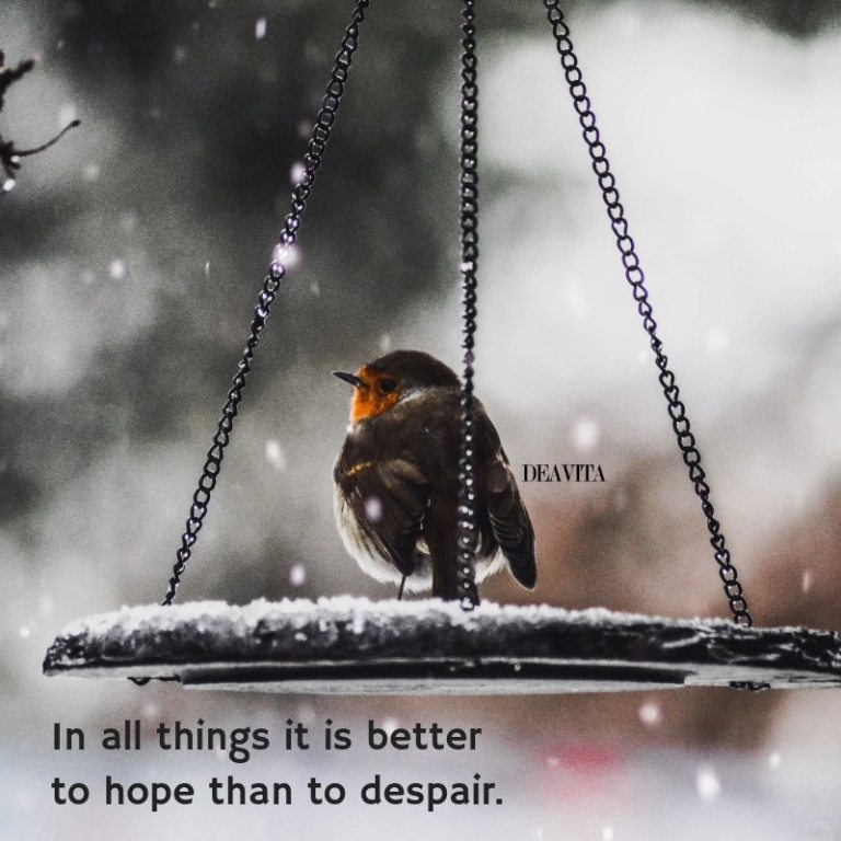 short deep positive quotes it is better to hope than to despair