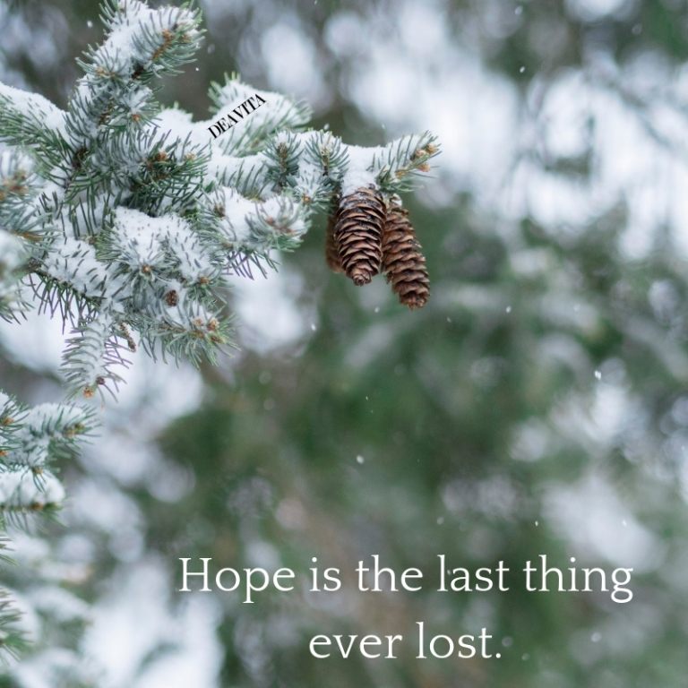 the best short positive quotes Hope is the last thing ever lost