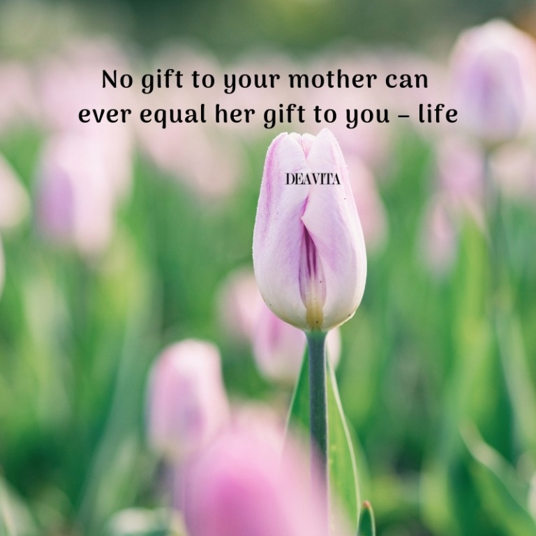 mothers day cards with short quotes and lovely photos