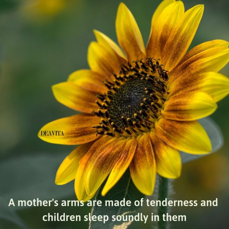 mothers love tenderness inspiring short quotes