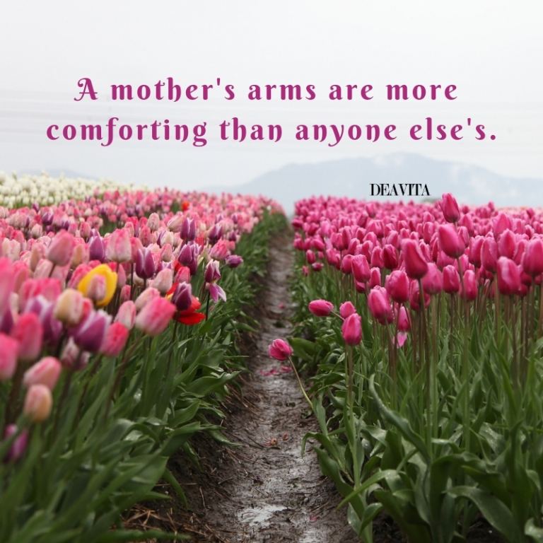 the best quotes about mothers love