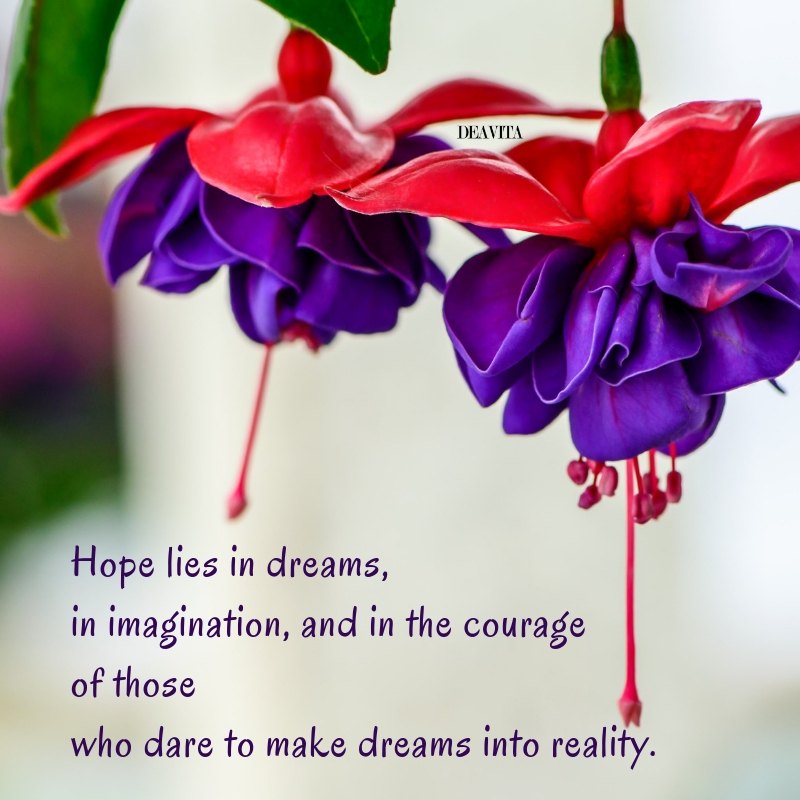 Hope imagination courage and dreams short sayings with photos