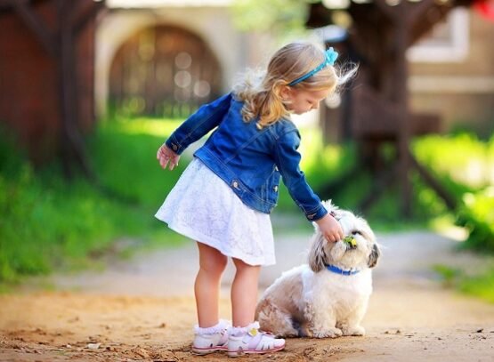 How-to-choose-dog-girl-names-tips-and-ideas-to-help-you