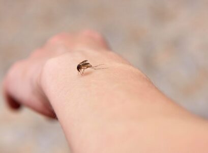 Mosquito-bite-pop-yes-or-no