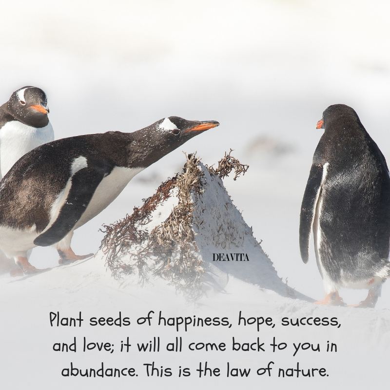Positive quotes about happiness hope success 