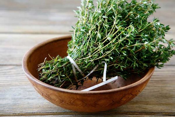Thyme herbs and plants to put on mosquito bites
