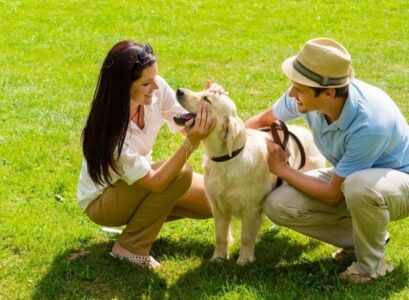 What-do-you-need-to-know-before-you-go-to-the-dog-park