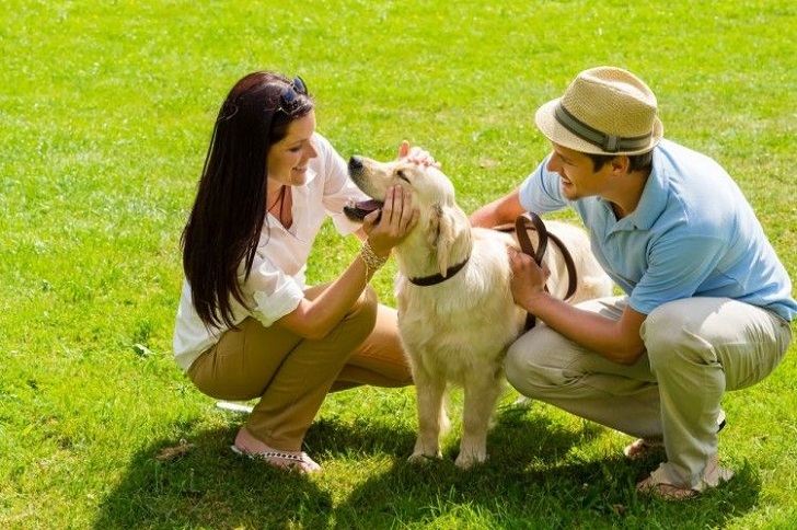 dog park etiquette for pets and humans