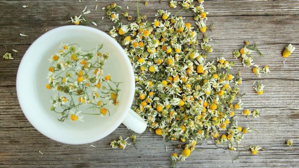 chamomile tea herbs and plants to reduce skin swelling