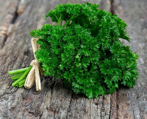 herbs and plants to use for mosquito bite at home parsley