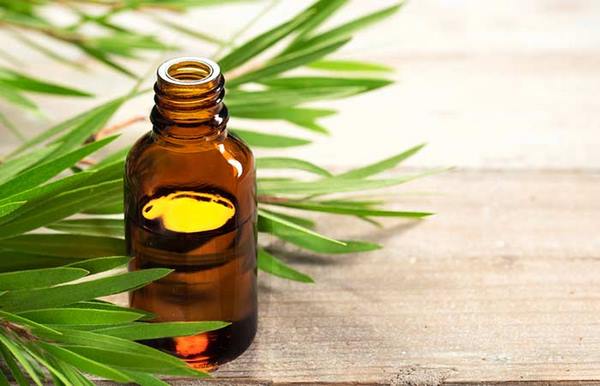 how to relieve itching from mosquito bites tea tree oil
