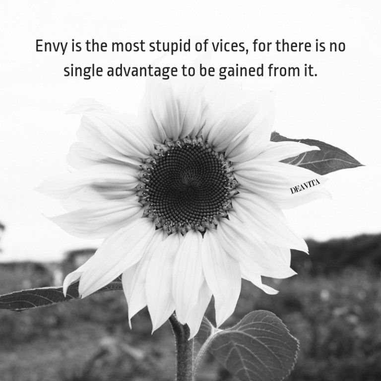 Envy vices life and self esteem short deep quotes