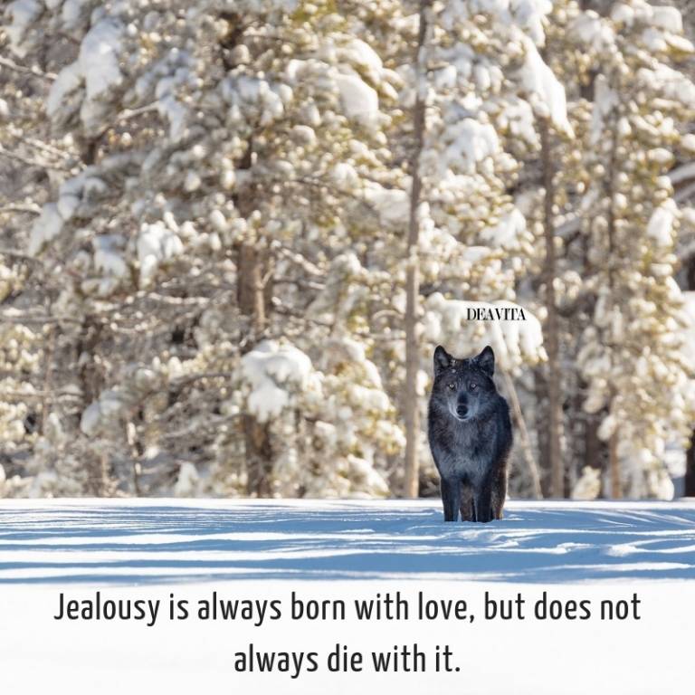 Jealousy and love quotes and sayings wise thoughts