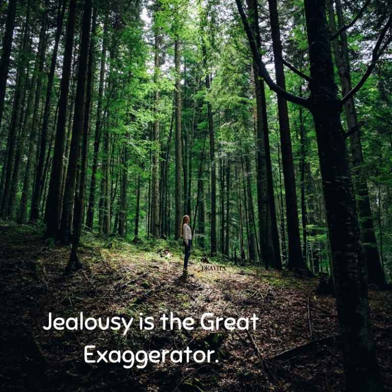 Jealousy is the Great Exaggerator