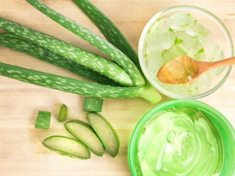 how to use aloe vera to prevent hair loss