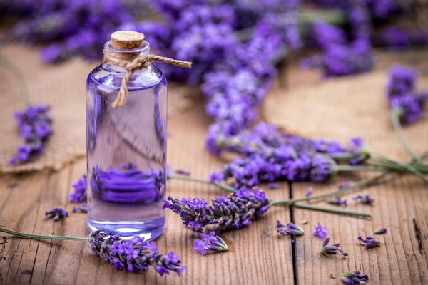 how to use lavender oil to relieve wisdom teeth pain at home