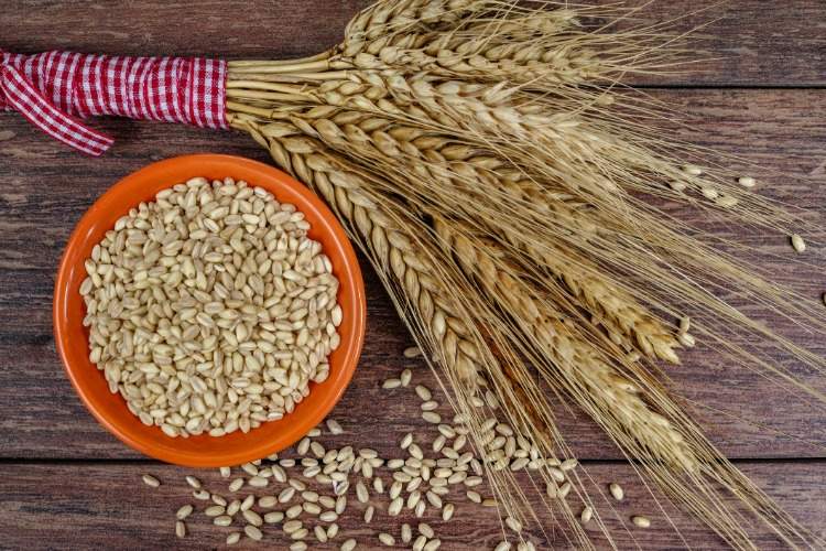 eat whole grain products for liver strengthening