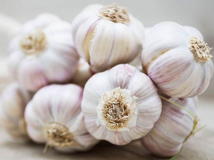 garlic benefits for a healthy liver