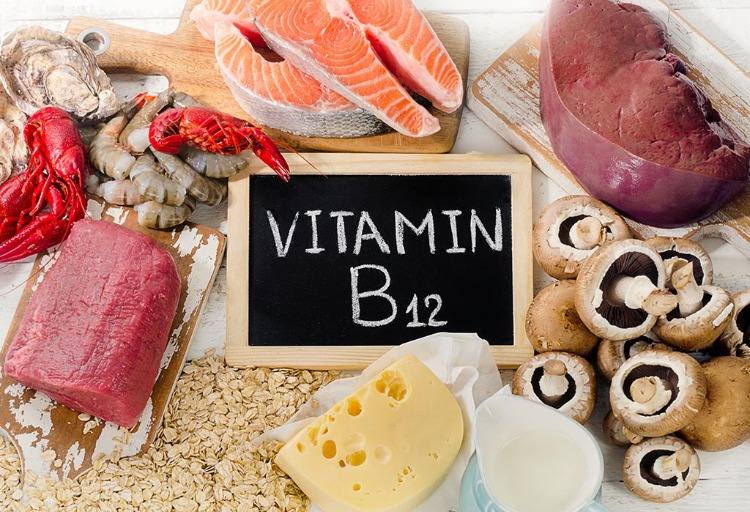 vitamin B12 containing food mushrooms salmon shellfish red meat dairy products