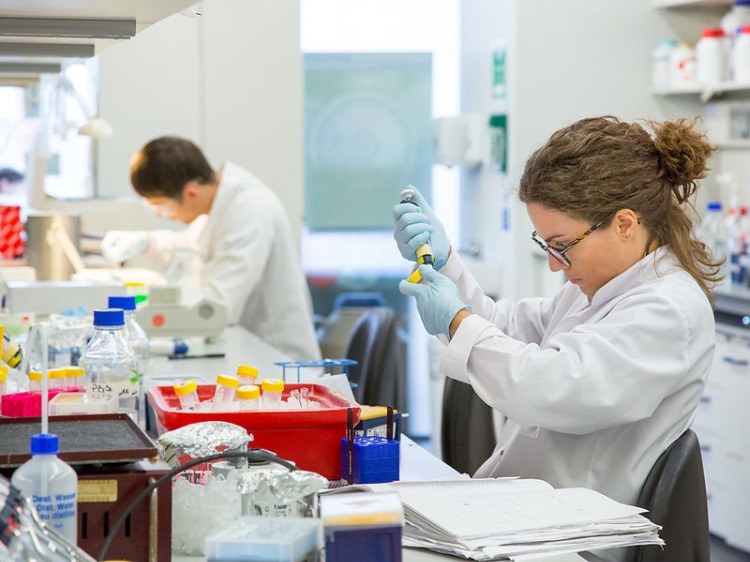 woman in laboratory studies a sample