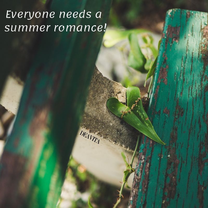 Everyone needs a summer romance