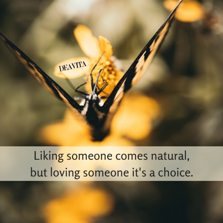 Liking and loving someone short deep quotes about love