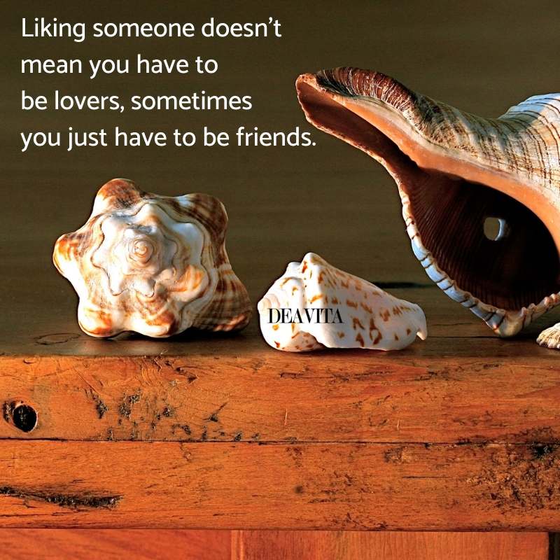 love and friendship quotes and inspirational sayings about friends