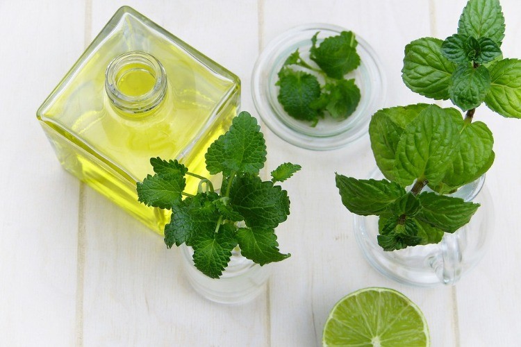 mint leaves for strong immune system and natural products for healthy diet