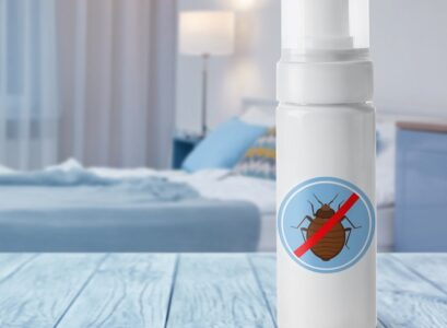 How-to- prevent-bedbug-bites-and-insect-infestation