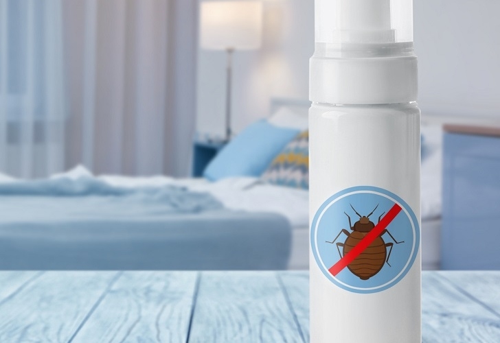 How To Prevent Bedbug Bites – Simple Methods To Avoid Infestation