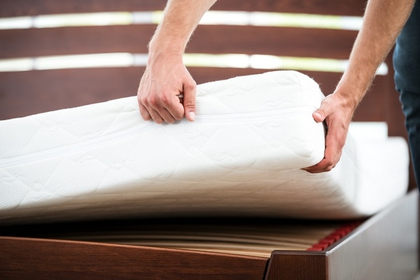 Mattress bed bugs removal