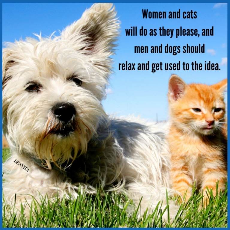 Women and cats men and dogs funny quotes with photos
