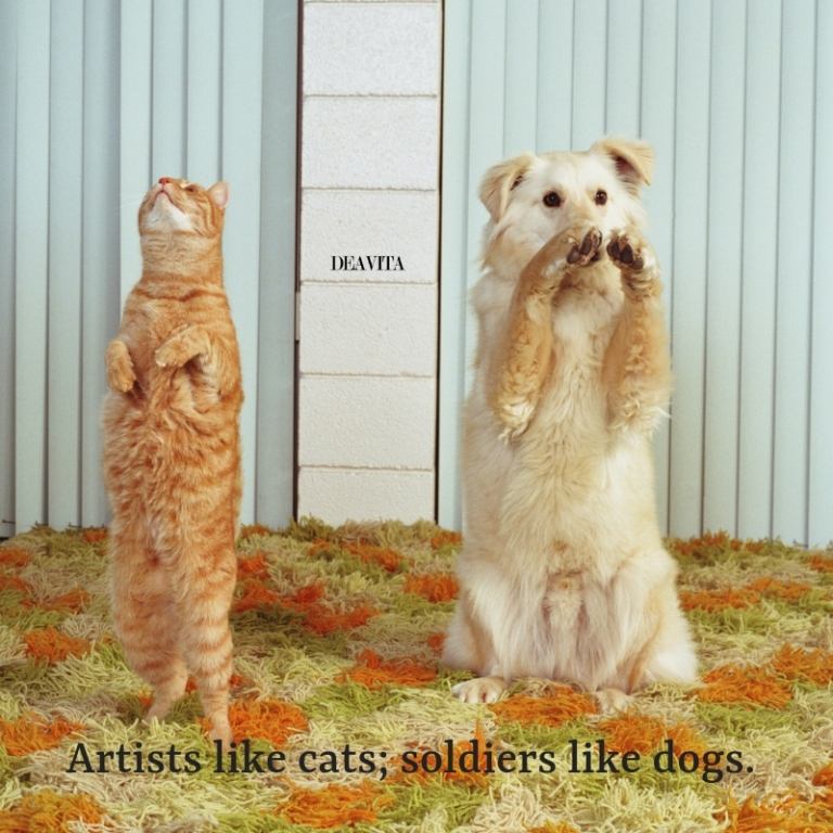 cats vs dogs quotes and funny sayings Artists like cats soldiers like dogs