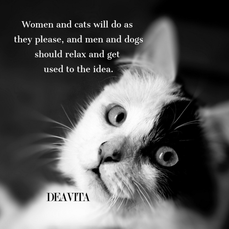 funny quotes Women and cats will do as they please