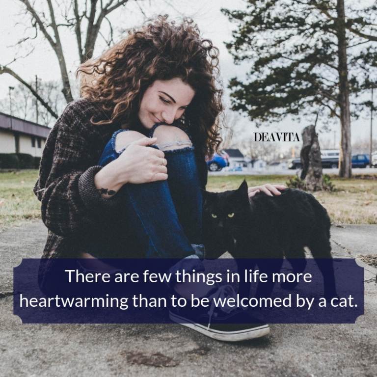 lovely quotes and sayings about cats and humans