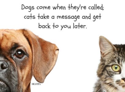 the-best-funny-quotes-about-pets-Dogs-and-cats