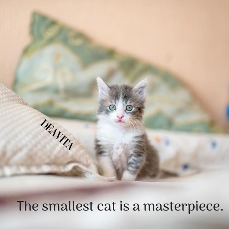 the best short quotes The smallest cat is a masterpiece