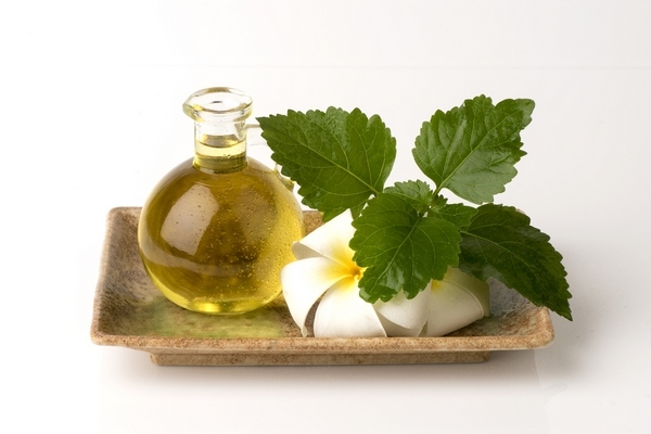 Patchouli oil properties and benefits hair care tips