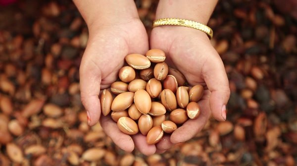 argan oil benefits hair and skin care tips natural ingredients