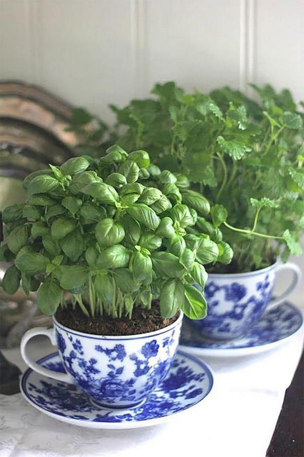 creative herb garden ideas DIY mini garden from old tea cups
