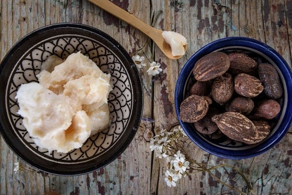 properties and benefits of shea nuts and butter for skin care