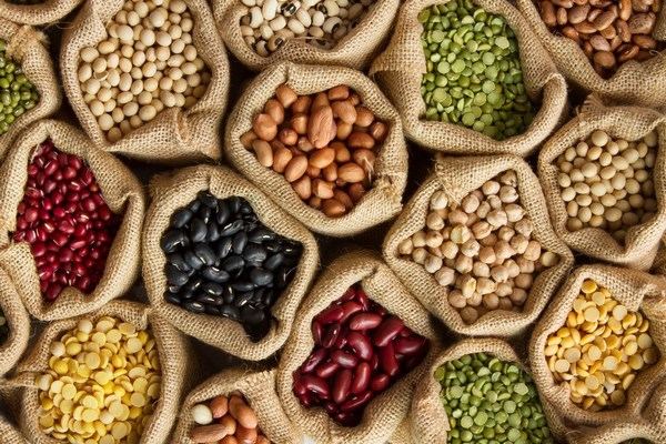 legumes are a source of protein zinc iron and biotin