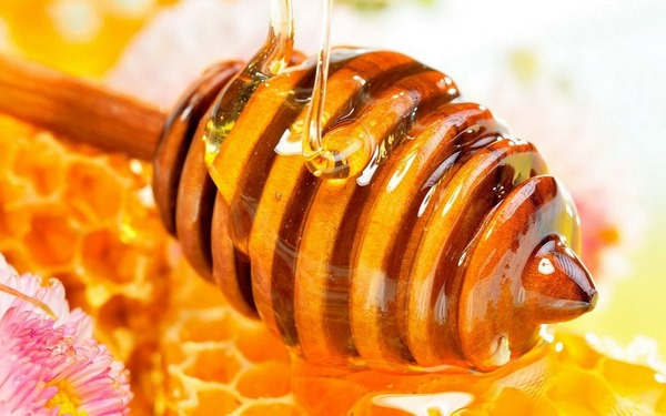 Honey is traditional ingredient for homemade lip balms