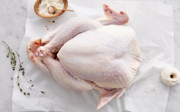 How to thaw a turkey simple rules