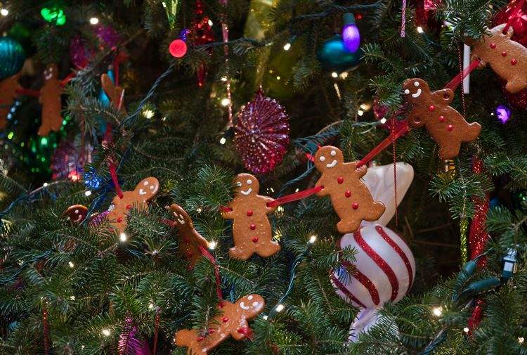 DIY Christmas tree cookie ornaments ideas and recipes