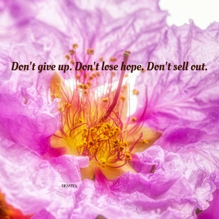 Do not give up and do not lose hope positive quotes