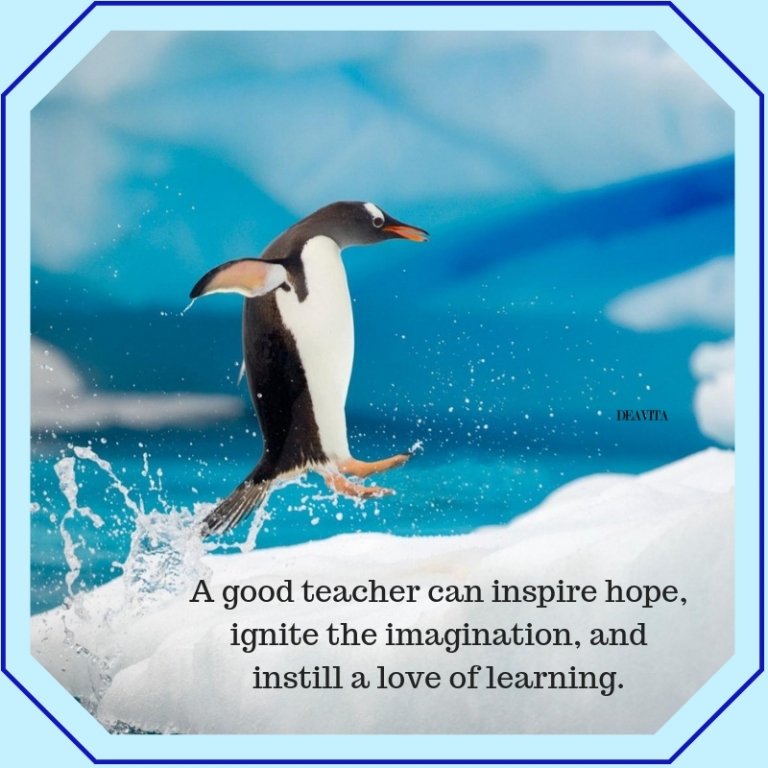 Inspiring hope imagination and love for learning sayings