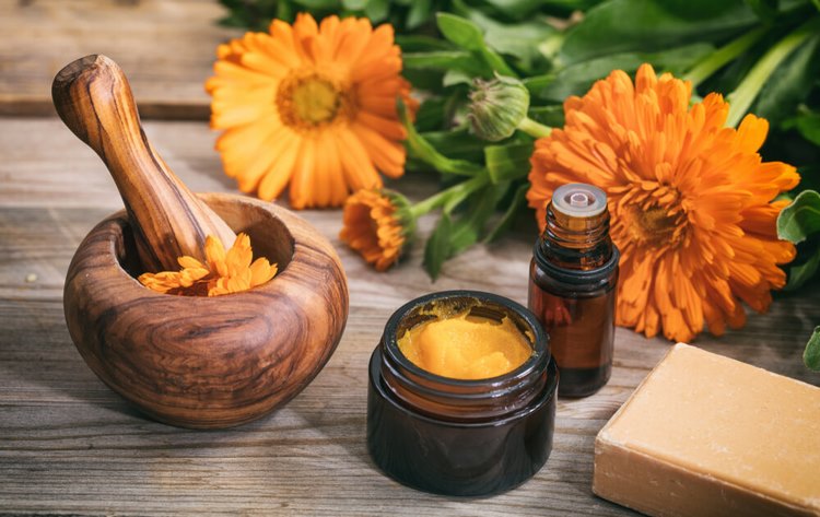 Calendula benefits properties and uses for health and skin care