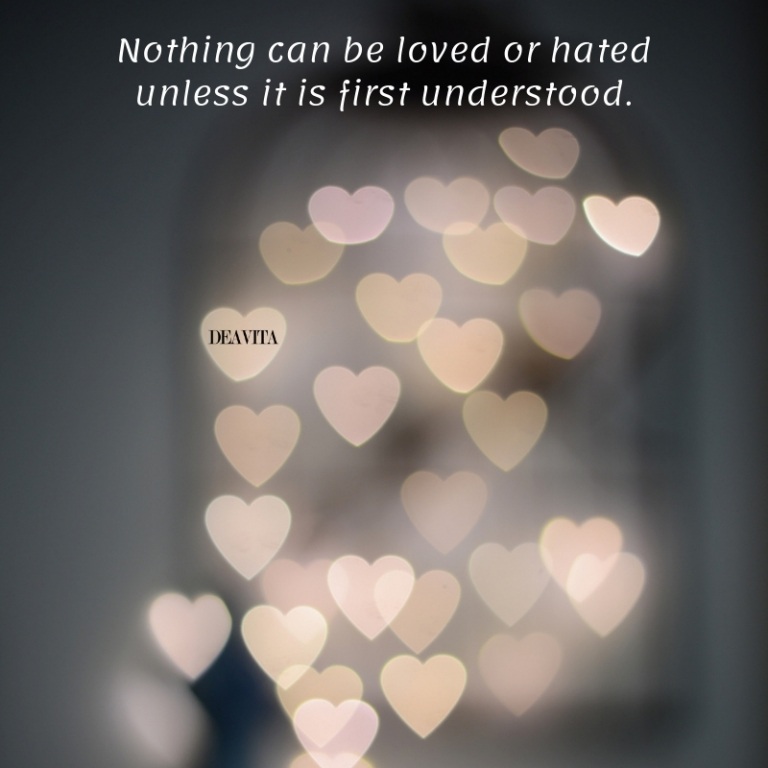 Short quotes about understanding love and hate