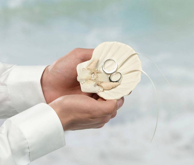 seashell as a ring holder for beach weddings